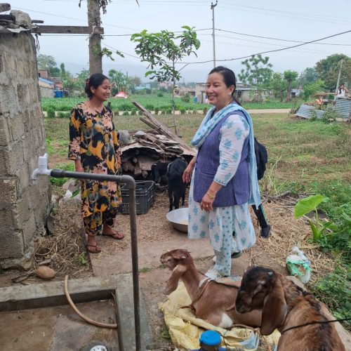 गृहपृष्ठ